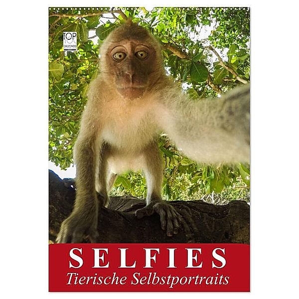 Selfies. Tierische Selbstportraits (Wandkalender 2024 DIN A2 hoch), CALVENDO Monatskalender, Elisabeth Stanzer