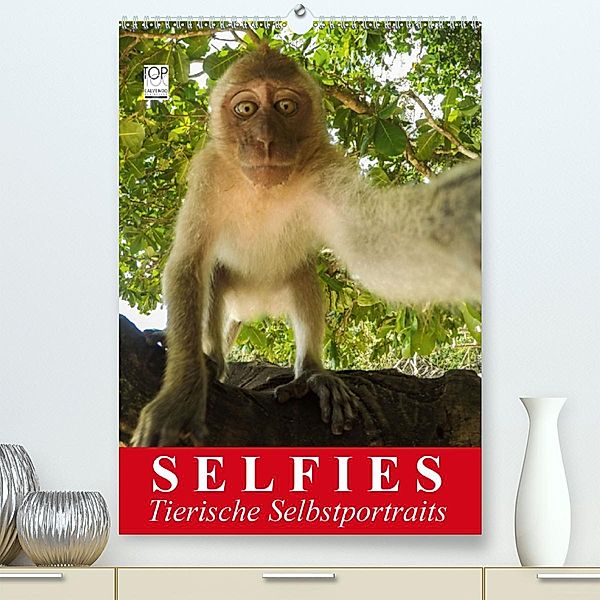 Selfies. Tierische Selbstportraits(Premium, hochwertiger DIN A2 Wandkalender 2020, Kunstdruck in Hochglanz), Elisabeth Stanzer
