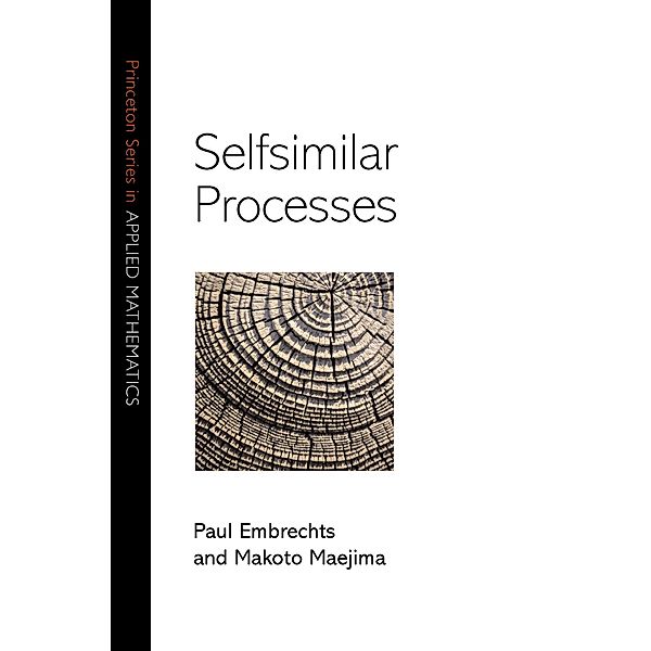 Selfsimilar Processes / Princeton Series in Applied Mathematics, Paul Embrechts