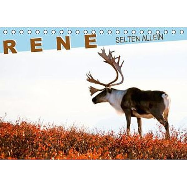 Selten allein: Rene (Tischkalender 2015 DIN A5 quer), CALVENDO