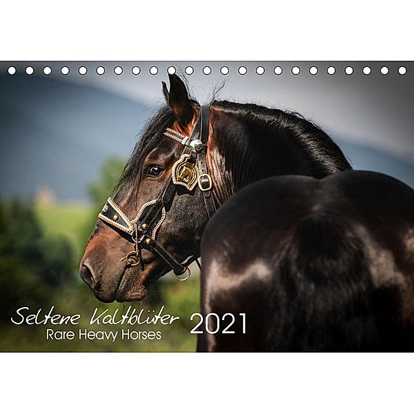 Seltene Kaltblüter - Rare Heavy Horses (Tischkalender 2021 DIN A5 quer), Cécile Zahorka, The Pixel Nomad