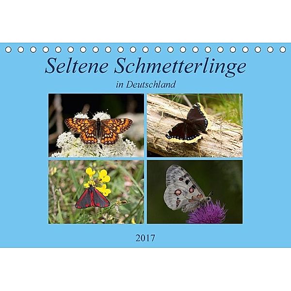 Seltene Schmetterlinge in Deutschland (Tischkalender 2017 DIN A5 quer), Winfried Erlwein