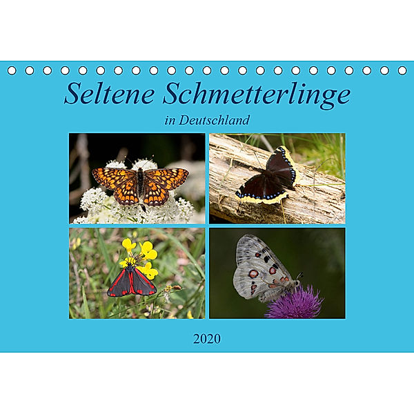 Seltene Schmetterlinge in Deutschland (Tischkalender 2020 DIN A5 quer), Winfried Erlwein