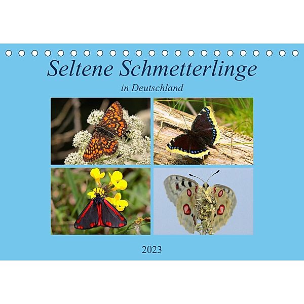 Seltene Schmetterlinge in Deutschland (Tischkalender 2023 DIN A5 quer), Winfried Erlwein