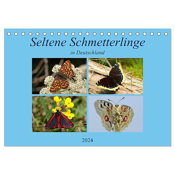 Seltene Schmetterlinge in Deutschland (Tischkalender 2024 DIN A5 quer), CALVENDO Monatskalender, Winfried Erlwein
