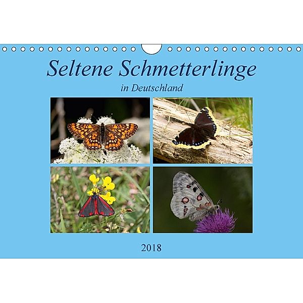 Seltene Schmetterlinge in Deutschland (Wandkalender 2018 DIN A4 quer), Winfried Erlwein