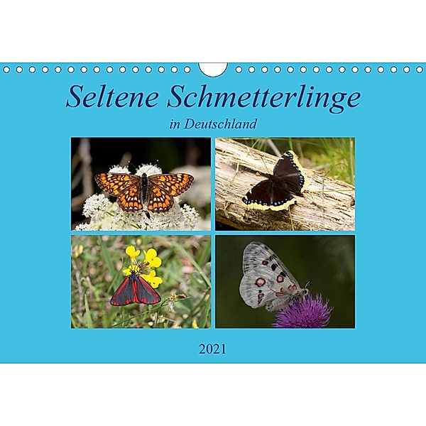 Seltene Schmetterlinge in Deutschland (Wandkalender 2021 DIN A4 quer), Winfried Erlwein