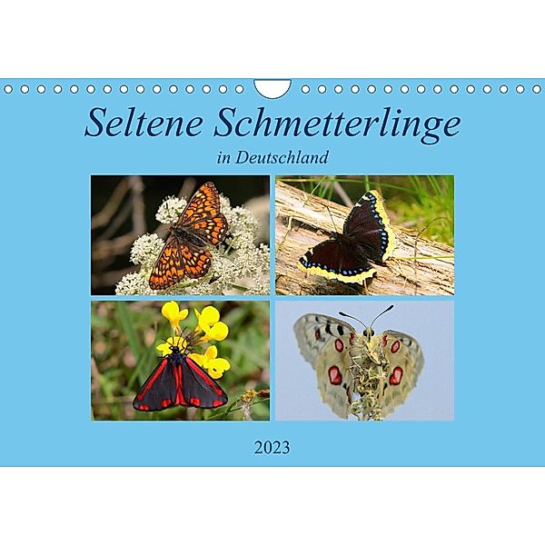 Seltene Schmetterlinge in Deutschland (Wandkalender 2023 DIN A4 quer), Winfried Erlwein