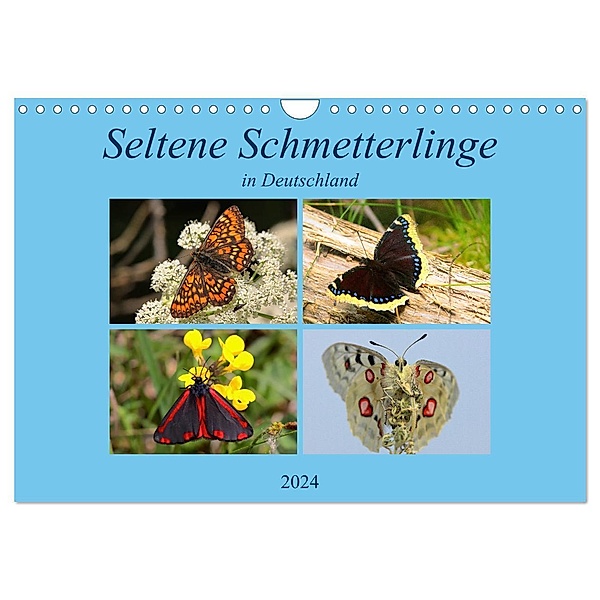 Seltene Schmetterlinge in Deutschland (Wandkalender 2024 DIN A4 quer), CALVENDO Monatskalender, Winfried Erlwein