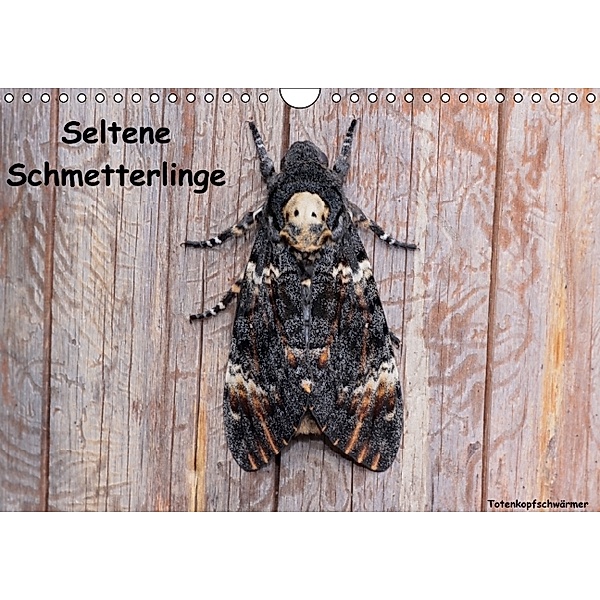 Seltene Schmetterlinge (Wandkalender 2014 DIN A4 quer), Winfried Erlwein