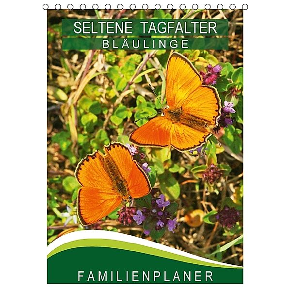 Seltene Tagfalter: Bläulinge / Familienplaner (Tischkalender 2018 DIN A5 hoch), Karl-Hermann Althaus