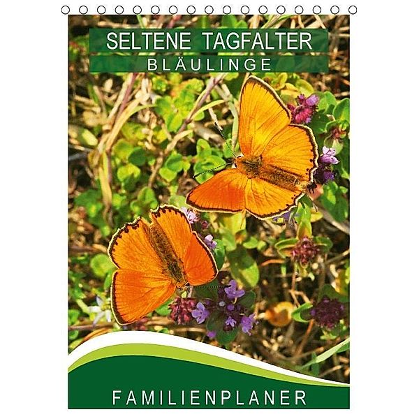 Seltene Tagfalter: Bläulinge / Familienplaner (Tischkalender 2017 DIN A5 hoch), Karl-Hermann Althaus