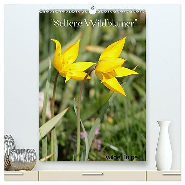 Seltene Wildblumen (hochwertiger Premium Wandkalender 2024 DIN A2 hoch), Kunstdruck in Hochglanz, Winfried Erlwein