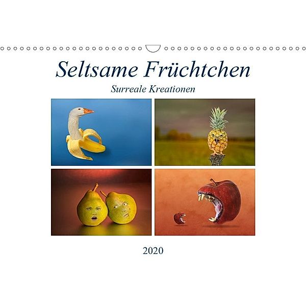 Seltsame Früchtchen (Wandkalender 2020 DIN A3 quer), Ursula Di Chito