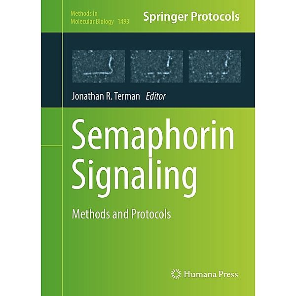 Semaphorin Signaling / Methods in Molecular Biology Bd.1493