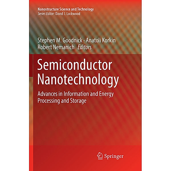 Semiconductor Nanotechnology