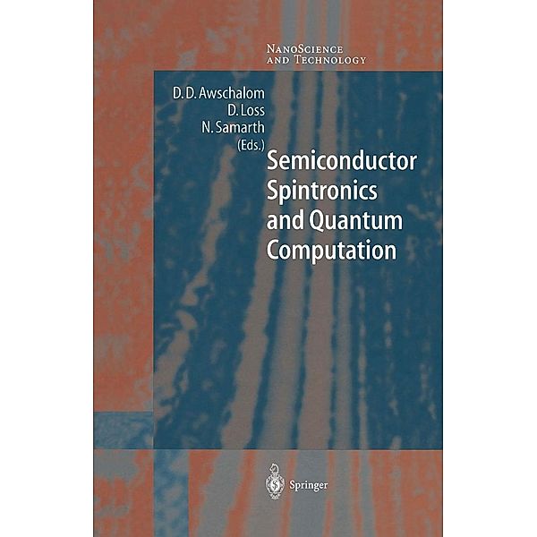 Semiconductor Spintronics and Quantum Computation / NanoScience and Technology