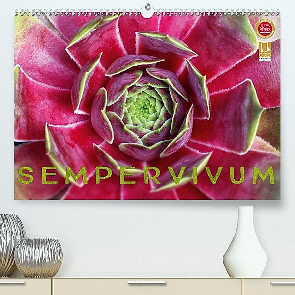 Sempervivum - Hauswurz (Premium, hochwertiger DIN A2 Wandkalender 2020, Kunstdruck in Hochglanz), Martina Cross