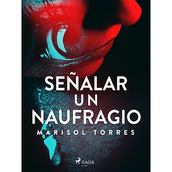 Señalar un naufragio, Marisol Torres