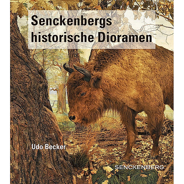 Senckenbergs historische Dioramen, Udo Becker
