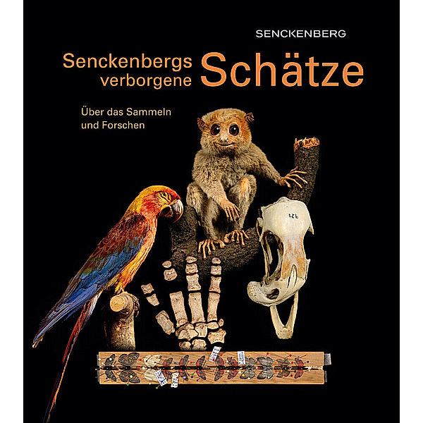 Senckenbergs verborgene Schätze