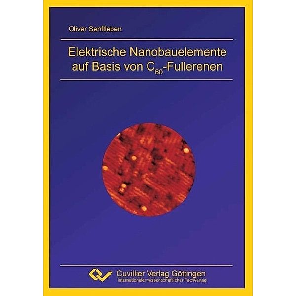 Senftleben, O: Elektrische Nanobauelemente auf Basis von C60, Oliver Siegfried Senftleben