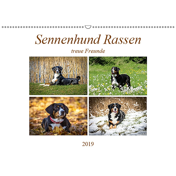 Sennenhund Rassen (Wandkalender 2019 DIN A2 quer), SchnelleWelten