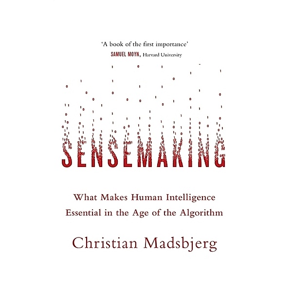 Sensemaking, Christian Madsbjerg
