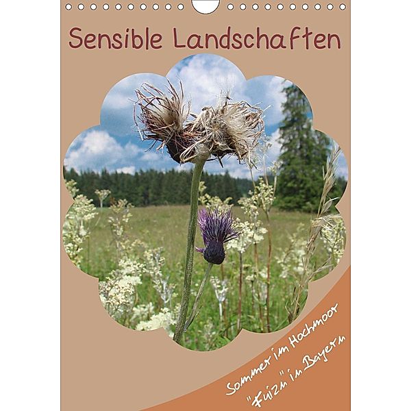 Sensible Landschaften , Sommer im Hochmoor (Wandkalender 2020 DIN A4 hoch)