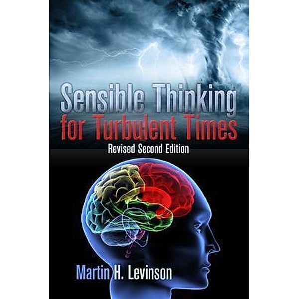 Sensible Thinking for Turbulent Times, Martin H. Levinson