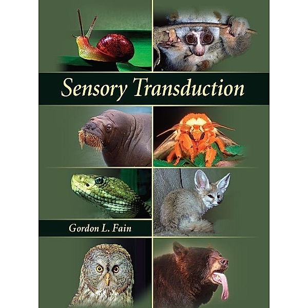 Sensory Transduction, Gordon L. Fain