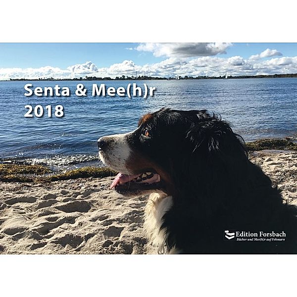 Senta & Mee(h)r 2018, Beate Forsbach