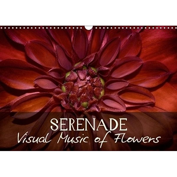 Serenade Visual Music of Flowers (Wall Calendar 2017 DIN A3 Landscape), Vronja Photon
