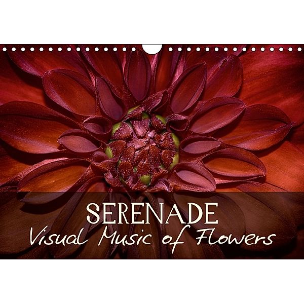 Serenade Visual Music of Flowers (Wall Calendar 2018 DIN A4 Landscape), Vronja Photon