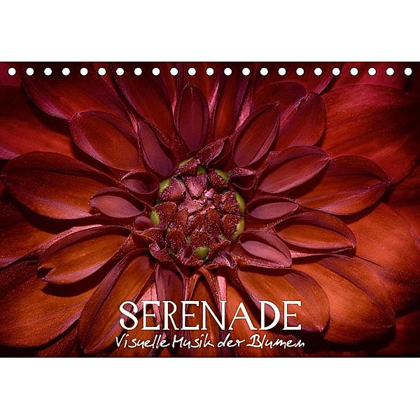 Serenade - Visuelle Musik der Blumen (Tischkalender 2020 DIN A5 quer), Vronja Photon