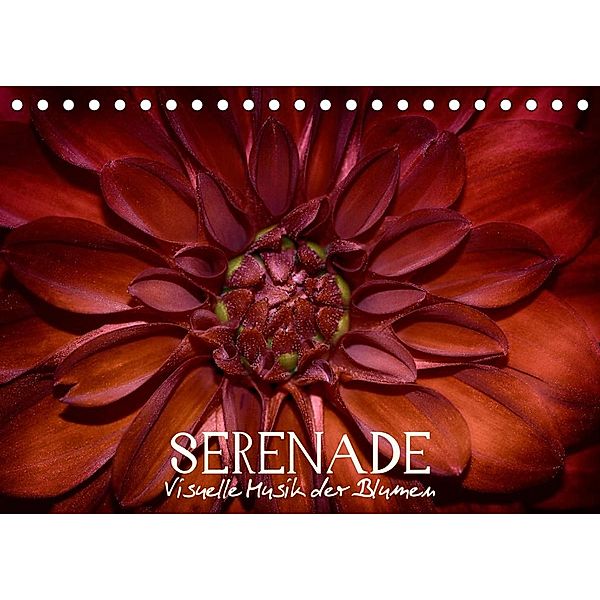 Serenade - Visuelle Musik der Blumen (Tischkalender 2023 DIN A5 quer), Vronja Photon