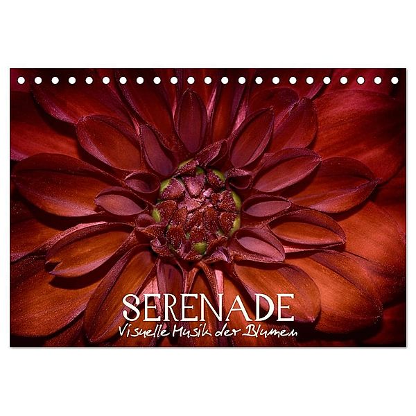 Serenade - Visuelle Musik der Blumen (Tischkalender 2024 DIN A5 quer), CALVENDO Monatskalender, Vronja Photon