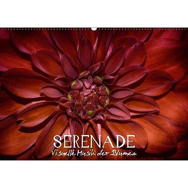 Serenade - Visuelle Musik der Blumen (Wandkalender 2015 DIN A2 quer), Vronja Photon