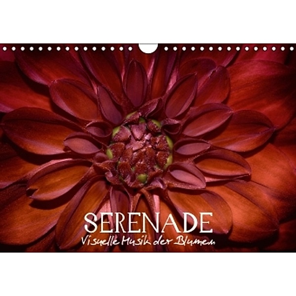Serenade - Visuelle Musik der Blumen (Wandkalender 2016 DIN A4 quer), Vronja Photon, Veronika Verenin