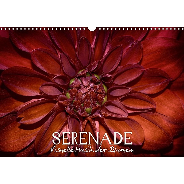 Serenade - Visuelle Musik der Blumen (Wandkalender 2021 DIN A3 quer), Vronja Photon