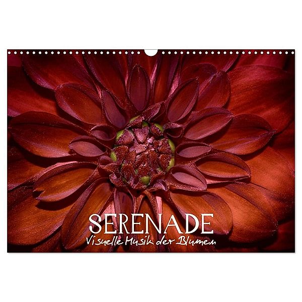 Serenade - Visuelle Musik der Blumen (Wandkalender 2024 DIN A3 quer), CALVENDO Monatskalender, Vronja Photon