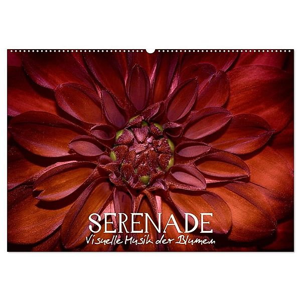 Serenade - Visuelle Musik der Blumen (Wandkalender 2024 DIN A2 quer), CALVENDO Monatskalender, Vronja Photon