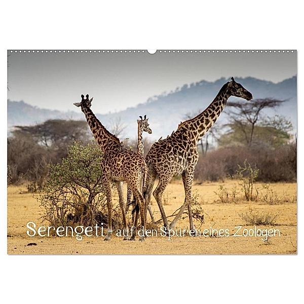 Serengeti - auf den Spuren eines Zoologen (Wandkalender 2024 DIN A2 quer), CALVENDO Monatskalender, Jürgen Maass