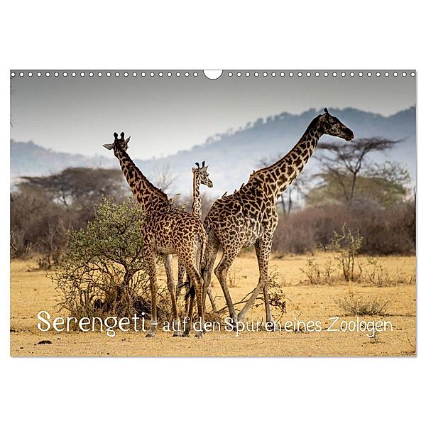 Serengeti - auf den Spuren eines Zoologen (Wandkalender 2024 DIN A3 quer), CALVENDO Monatskalender, Jürgen Maaß