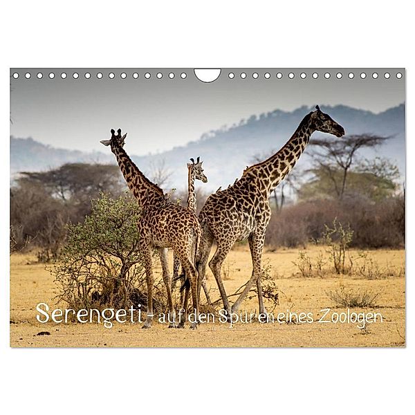 Serengeti - auf den Spuren eines Zoologen (Wandkalender 2025 DIN A4 quer), CALVENDO Monatskalender, Calvendo, Jürgen Maass