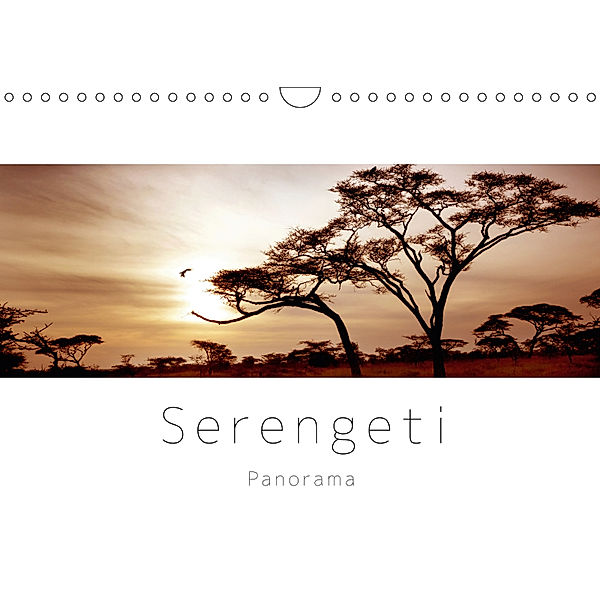 Serengeti Panorama (Wandkalender 2019 DIN A4 quer), studio visuell photography