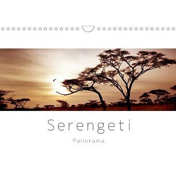 Serengeti Panorama (Wandkalender 2020 DIN A4 quer), studio visuell photography