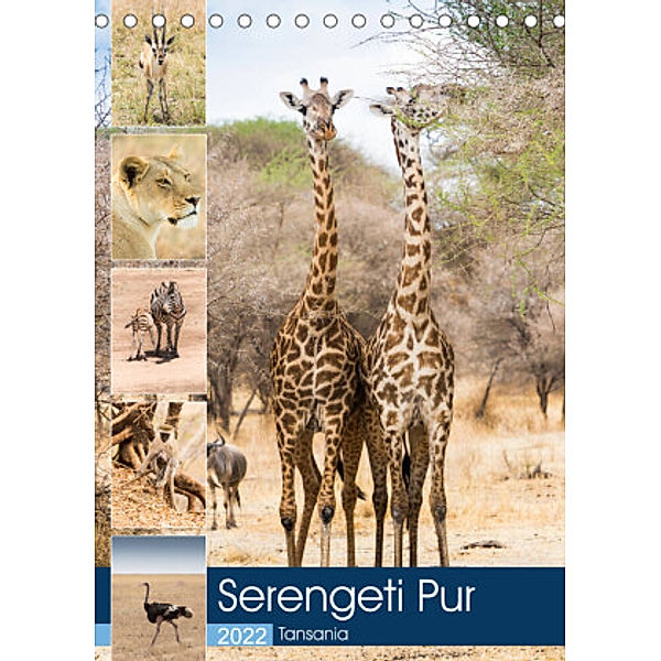 Serengeti Pur - Tansania (Tischkalender 2022 DIN A5 hoch), Sabine Reuke