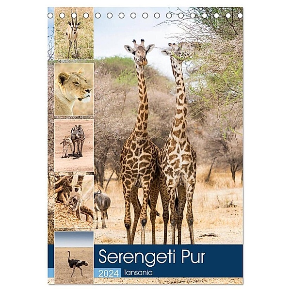 Serengeti Pur - Tansania (Tischkalender 2024 DIN A5 hoch), CALVENDO Monatskalender, Sabine Reuke