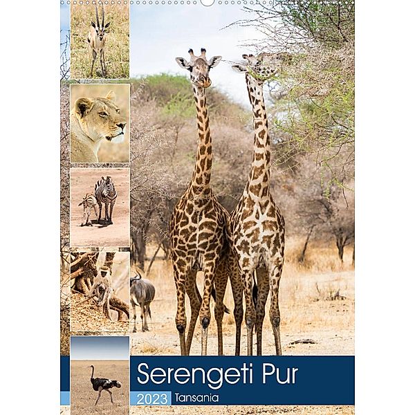Serengeti Pur - Tansania (Wandkalender 2023 DIN A2 hoch), Sabine Reuke